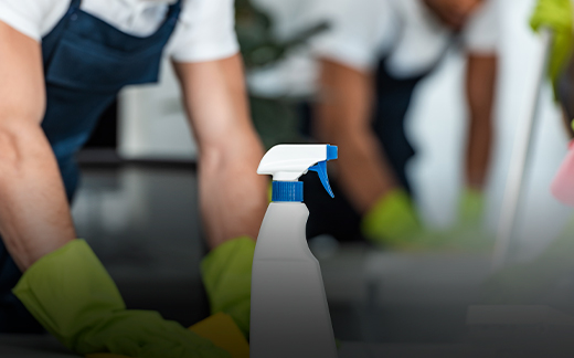 Professional Cleaning Services