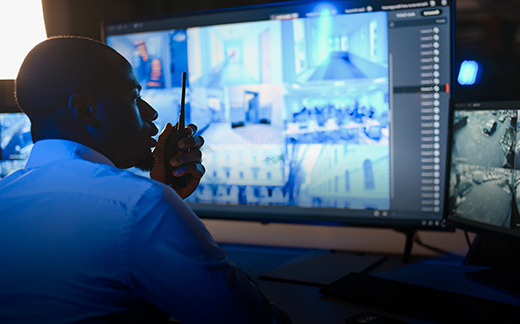 Integrated Security Services